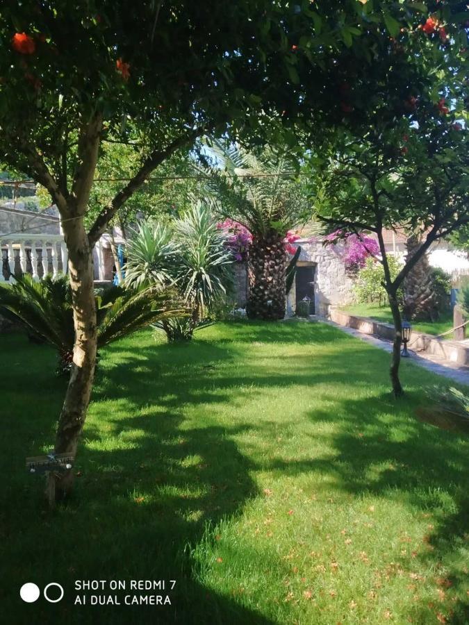 Villa Stella Rose Luštica Exterior photo